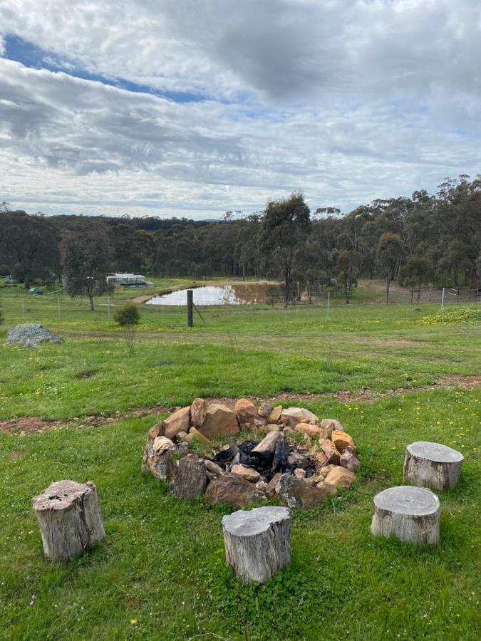 Tiny On A Hill Luxury tent *